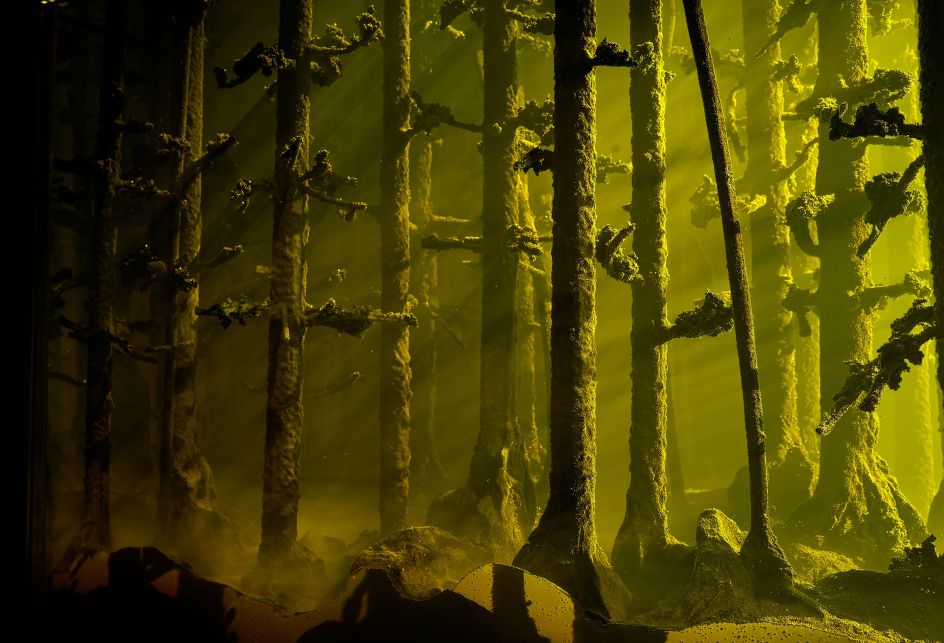 Mariele Neudecker  And Then the World Changed Colour: Breathing Yellow, 2019 © Mariele Neudecker 2020  All rights reserved, DACS 2020. Courtesy Pedro Cera and the artist  Photo: Benjamin Jones