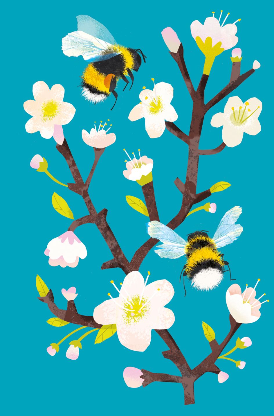 Natasha Durley and Elizabeth Jenner: What To Look For series (Copyright © Ladybird Books, 2021)