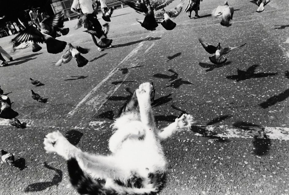 © Masahisa Fukase