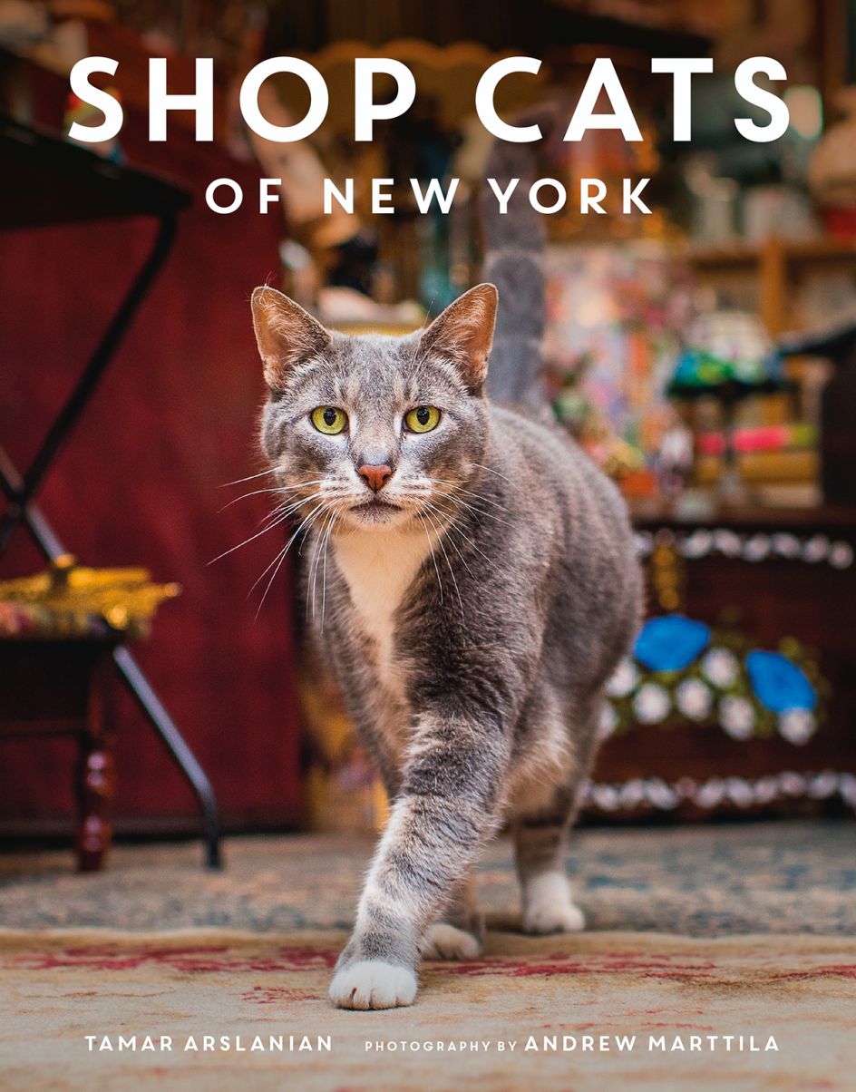 Book Cover for Cats of New York
