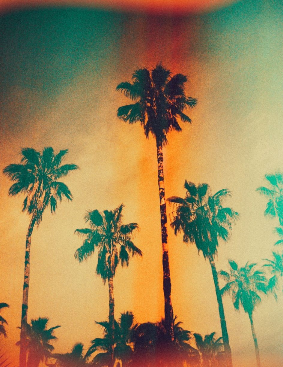 Kate Bellm, Jalisco, 2017. Printed on Hahnemühle Rag Paper 34 x 44 cm Edition 1 of 5 plus 2 AP (KB 105)