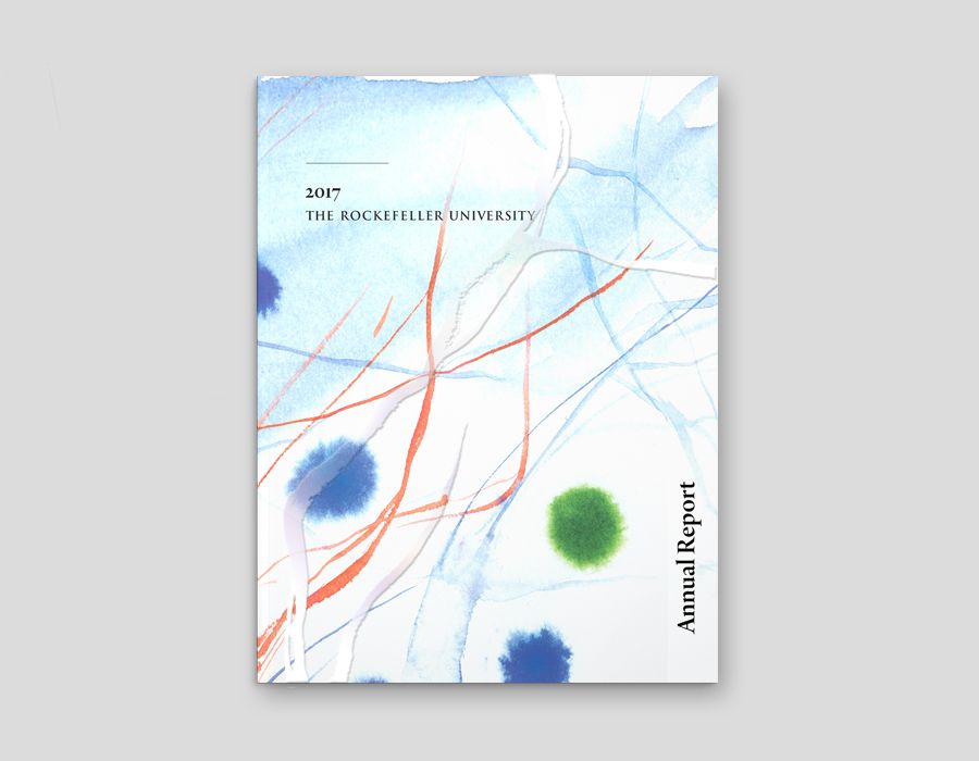 C&G takes biomedical scientific imagery and transforms into art