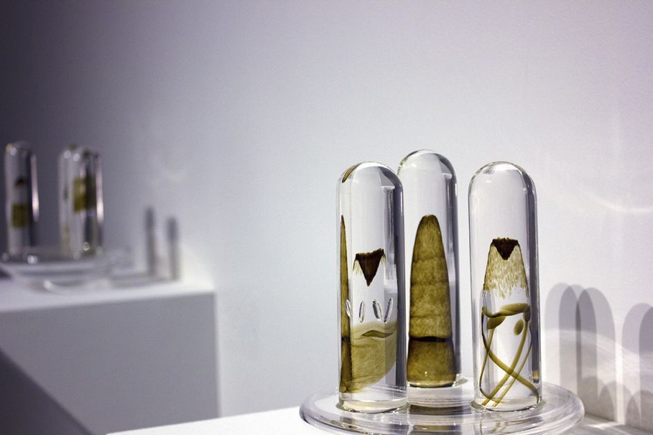 Cyclone by Corey Broman