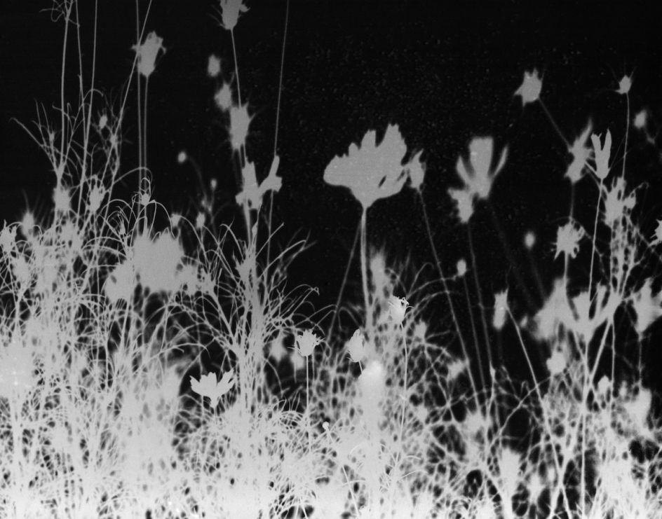 Kristina Podobed, This Too Shall Pass