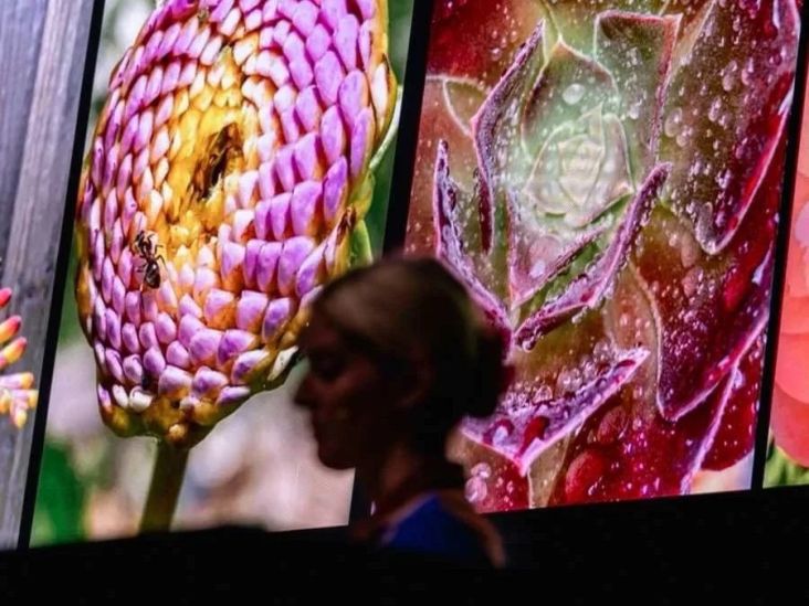 All Flows 2026 - Milton Keynes