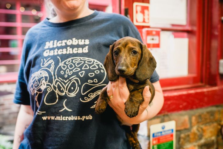 IRL Sheffield: September Social - IRL Meet-up