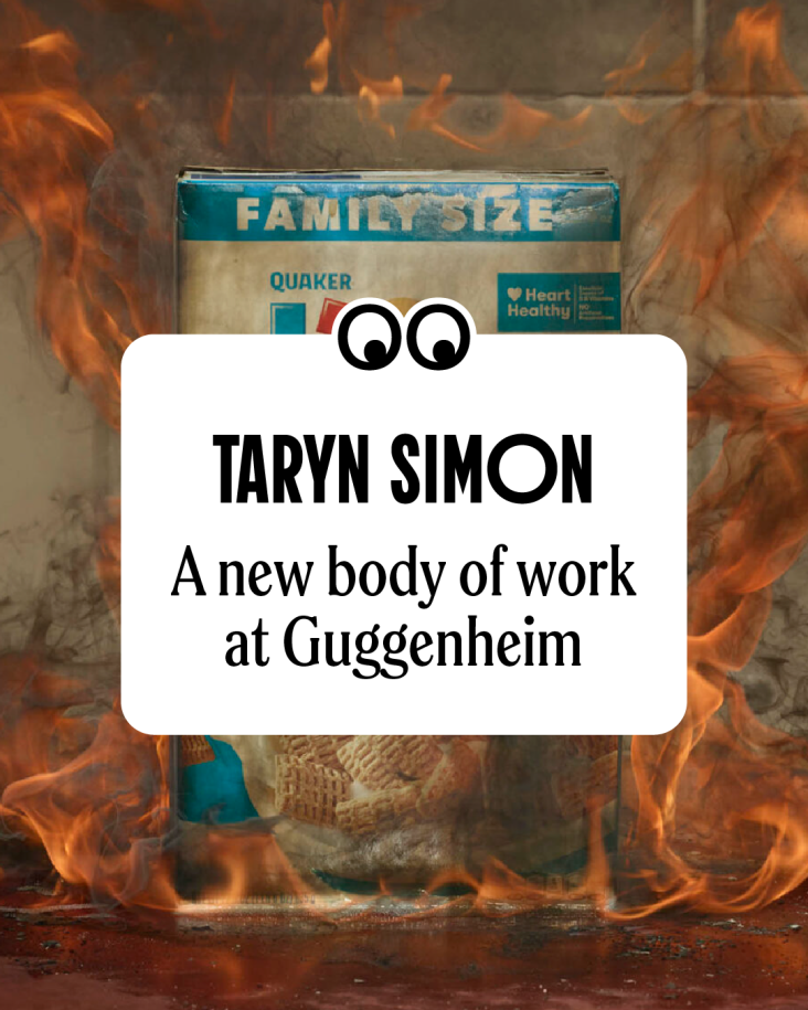Taryn Simon | Father Country I Do Love You - Guggenheim, New York