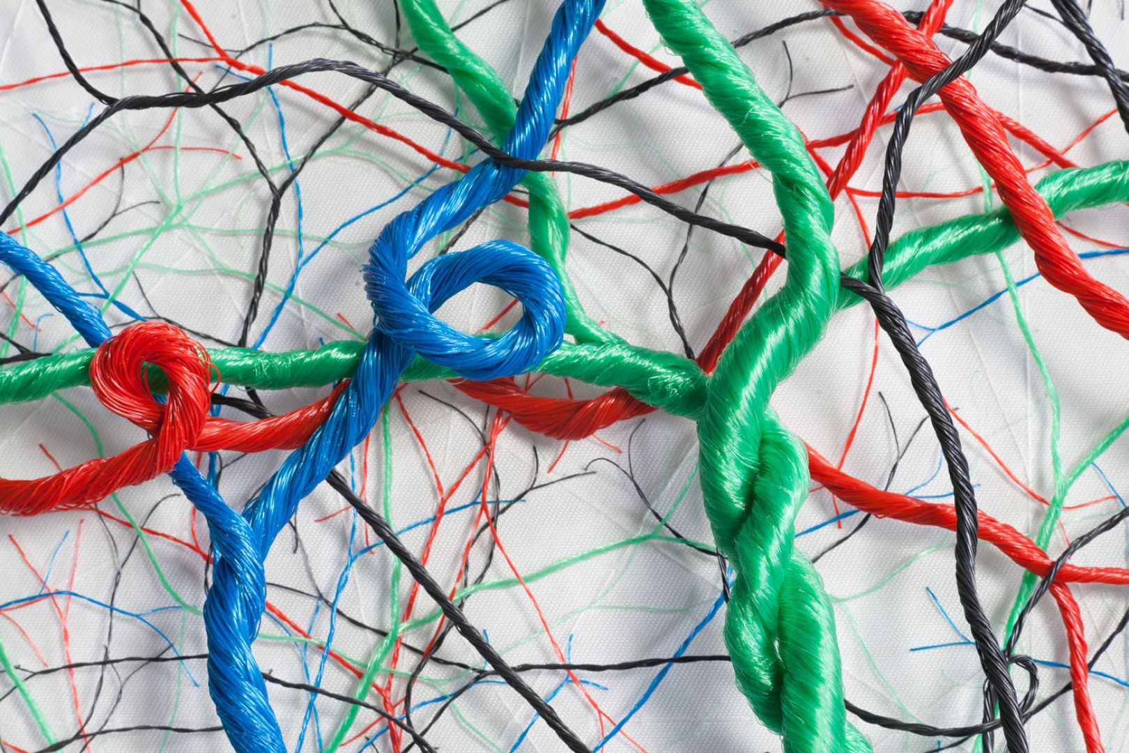 Threaded rope artworks that depict tree roots or human blood vessels by ...