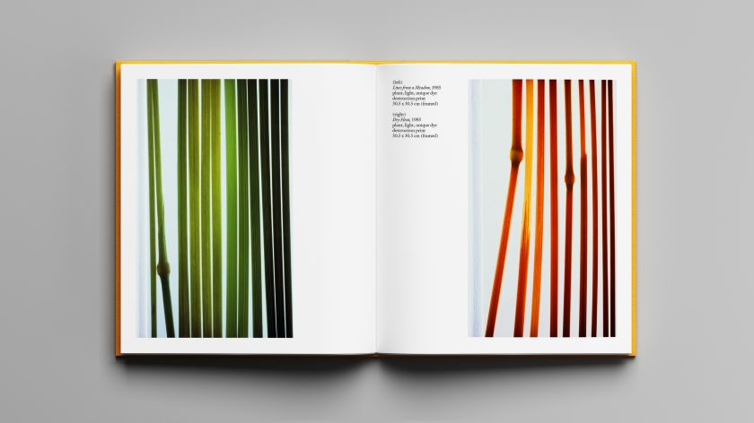 Hingston Studio's designs for Garry Fabian Miller, the 'camera-less' fine art photographer