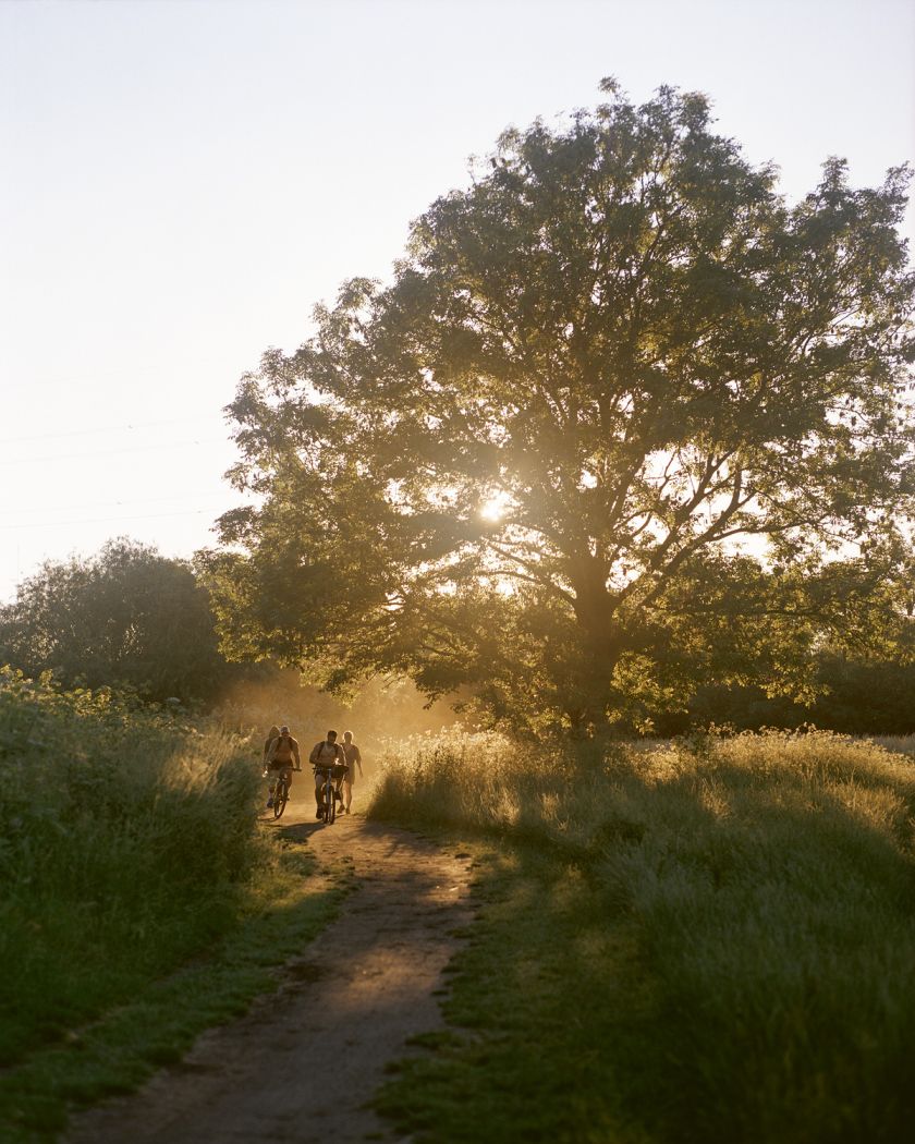 Freya Najade's photos reveal the 'uncontainable wildness' of London's Hackney Marshes