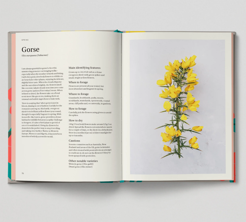 How Hoxton Mini Press and Here Design crafted the best-illustrated lifestyle book
