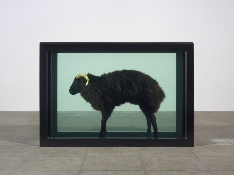 Damien Hirst, Black Sheep with Golden Horns, 2009 Photographed by Prudence Cuming Associates © Damien Hirst and Science Ltd. All Rights Reserved, DACS 2019