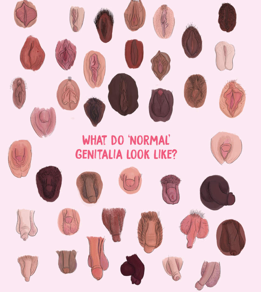 Illustrator Hazel Mead's debut book is here, and this is why we should be talking about it