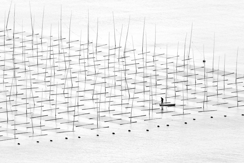 Farming the Sea - Tugo Cheng: A fisherman is farming the sea in between the bamboo rods constructed for aquaculture off the coast in southern China. (Open Travel)