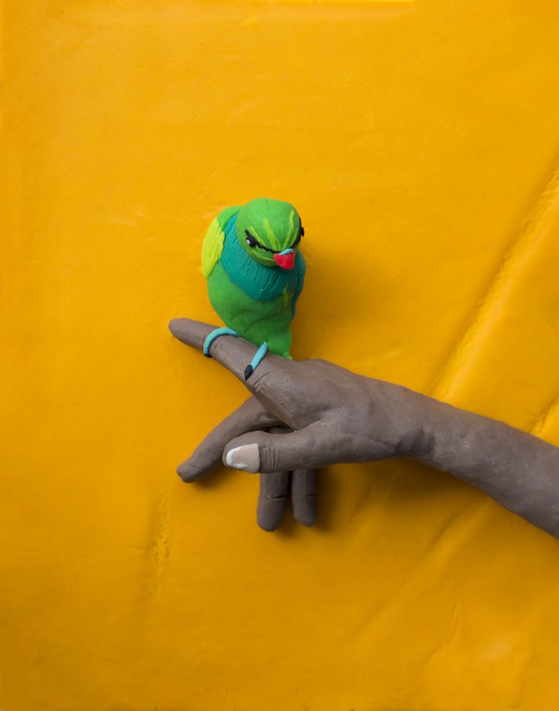 Original photograph: From ’The Lost Head & The Bird’ by Sohrab Hura rendered in Play-Doh © Eleanor Macnair