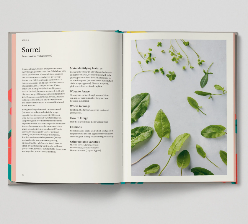 How Hoxton Mini Press and Here Design crafted the best-illustrated lifestyle book
