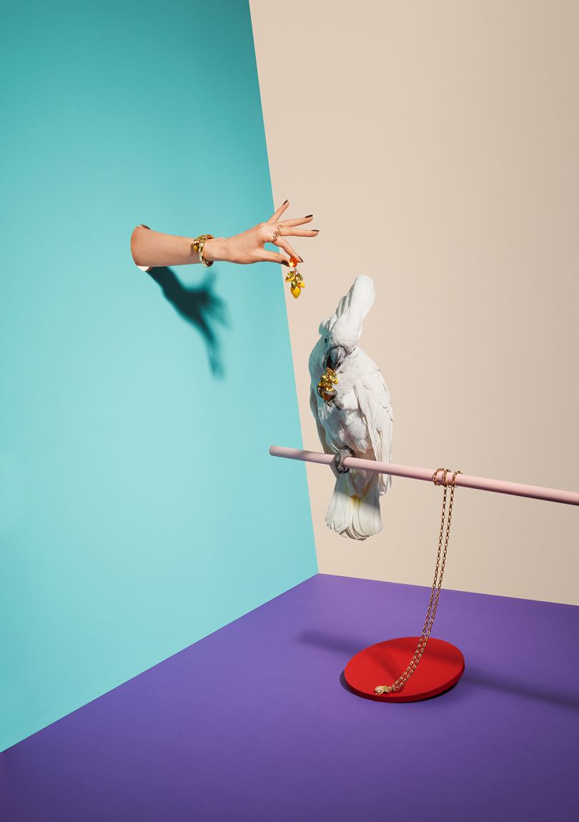 Animals vs. Jewellery - Oliver Schwarzwald: Editorial for German Stern magazine, jewellery special. (Professional Still Life)