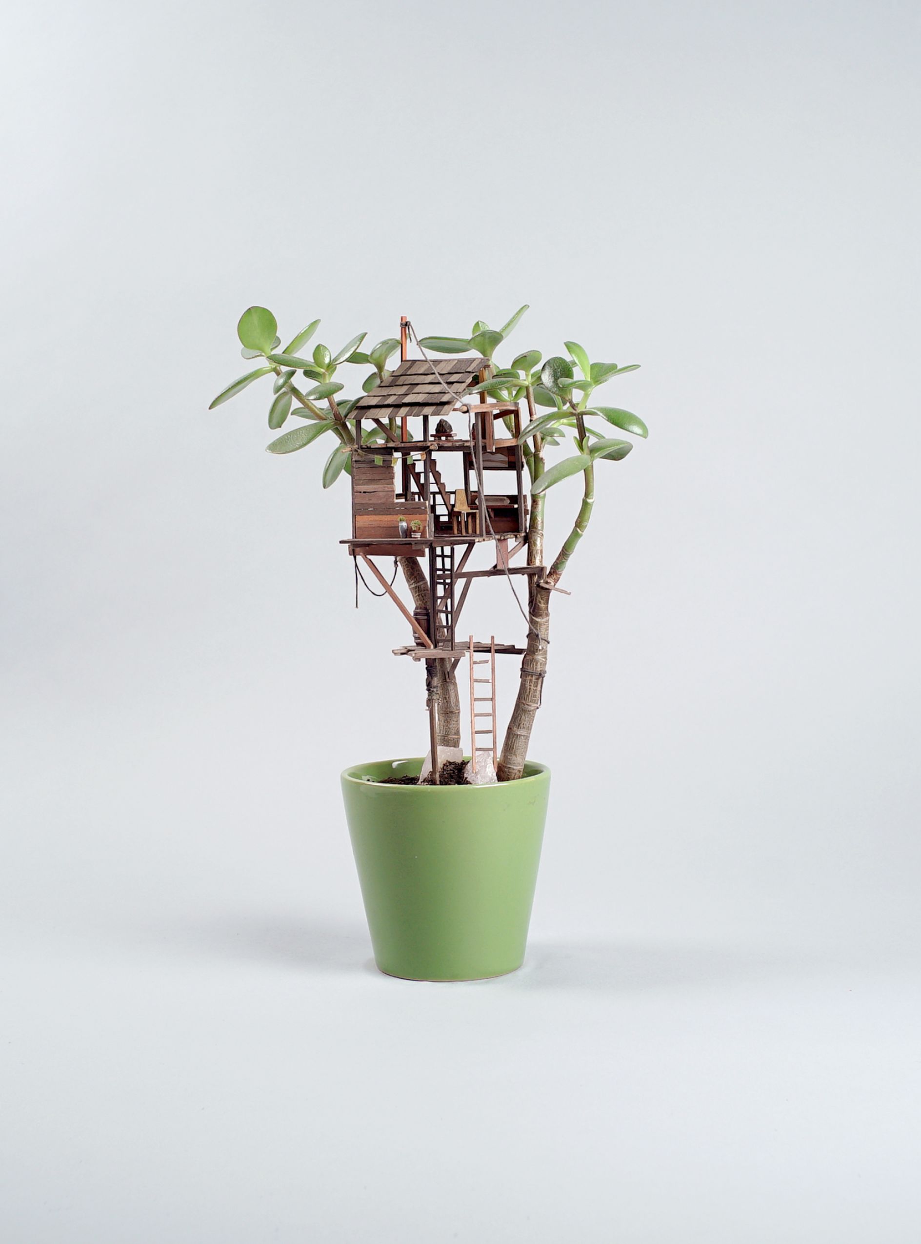 Artist crafts miniature treehouse sculptures to sit within ordinary ...