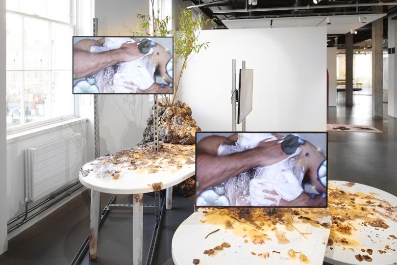 Adham Faramawy, Skin Flick (Invasive Species), installed as part of Genders, Science Gallery, London, Adham Faramawy, 2020. Photo Sylvain Deleu