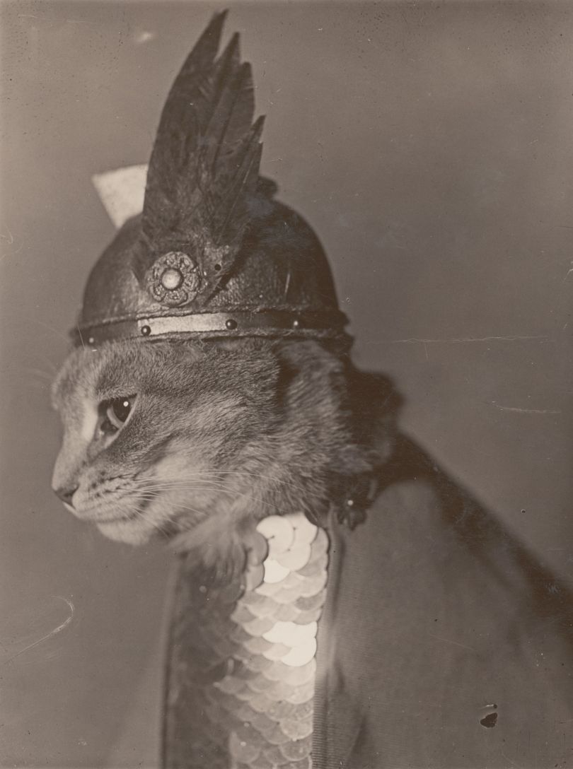 Unknown. Brünnhilde, 1936. (From the Library of Congress, Prints & Photographs Division)