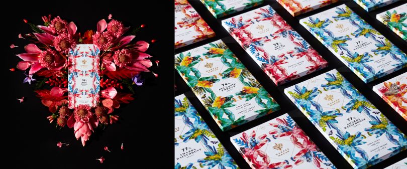 Harper Macaw chocolate Branding and package design