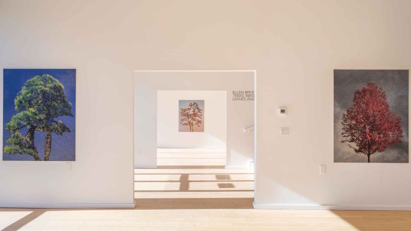 Credit: Athletics / Catskills Art Space