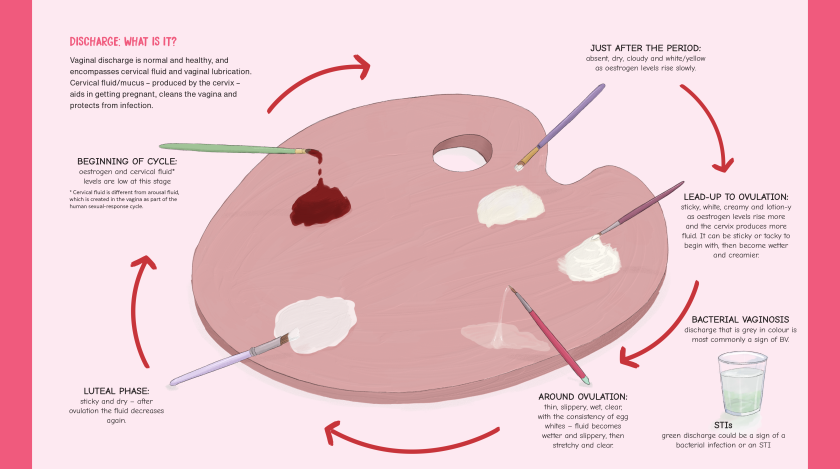 Illustrator Hazel Mead's debut book is here, and this is why we should be talking about it