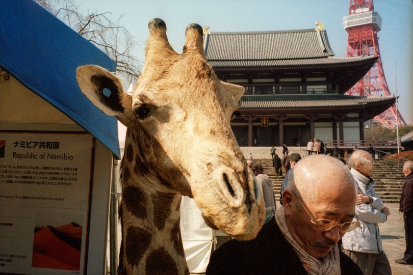 From the series and book, In Color In Japan © Shin Noguchi. All images courtesy of the artist.