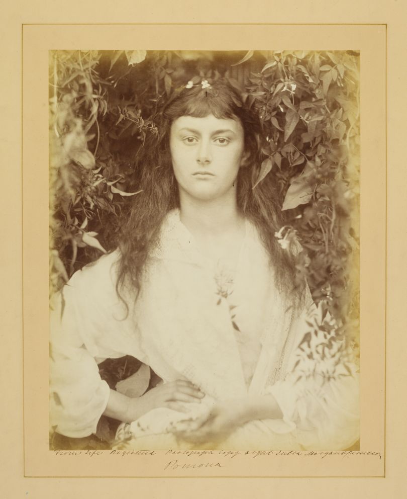 Photograph of the 'real' Alice Liddell, by Julia Margaret Cameron, 'Pomona', albumen print, 1872 (c) Victoria and Albert Museum, London