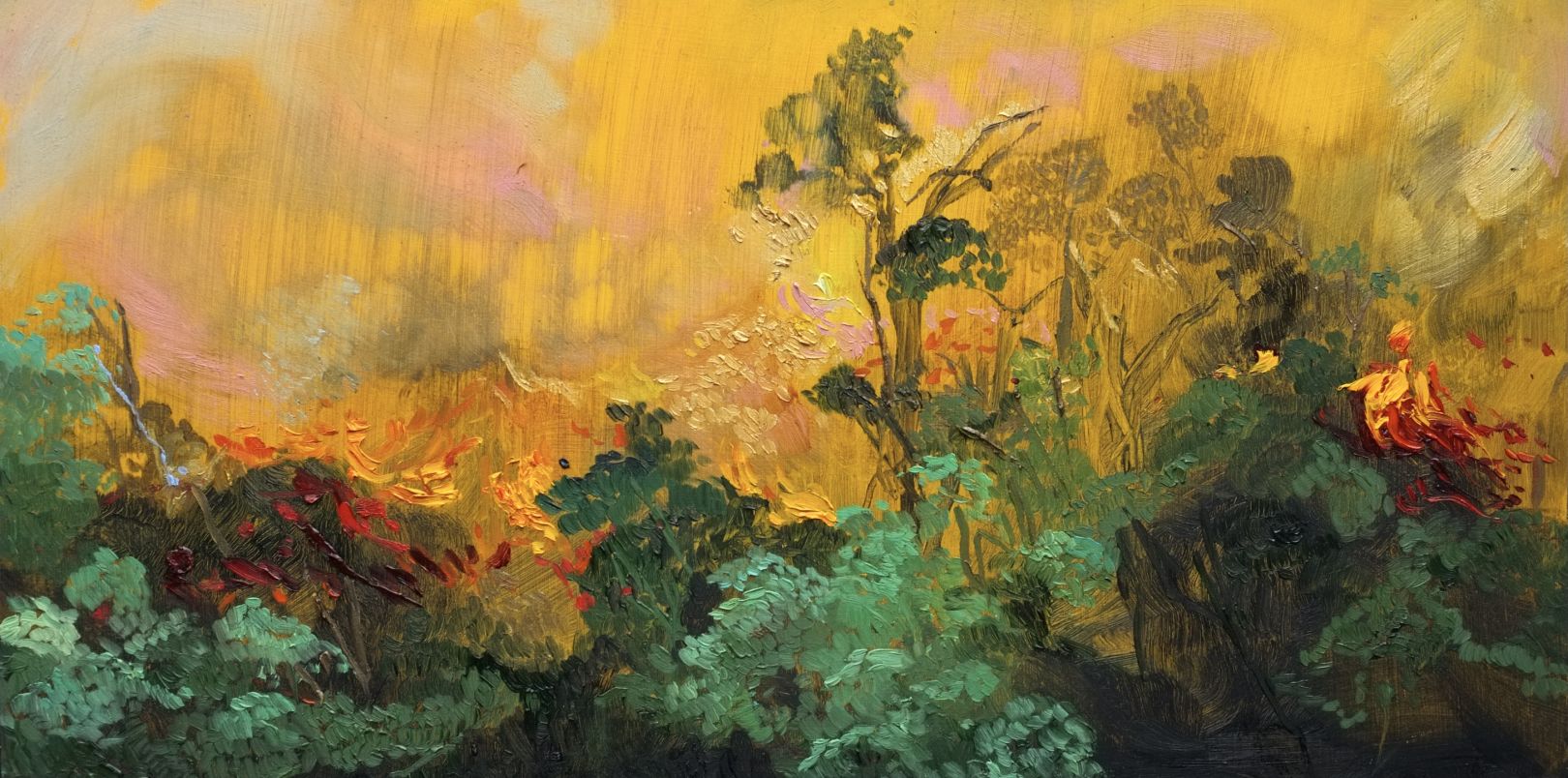 Burn New Jelly Green show examines forest fires via huge flaming