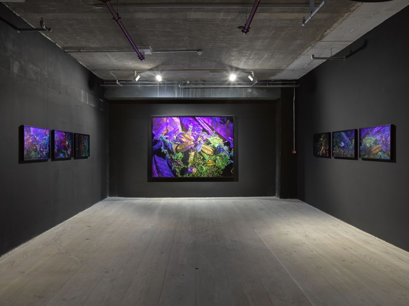 Richard Mosse Broken Spectre. Photo by Jack Hems
