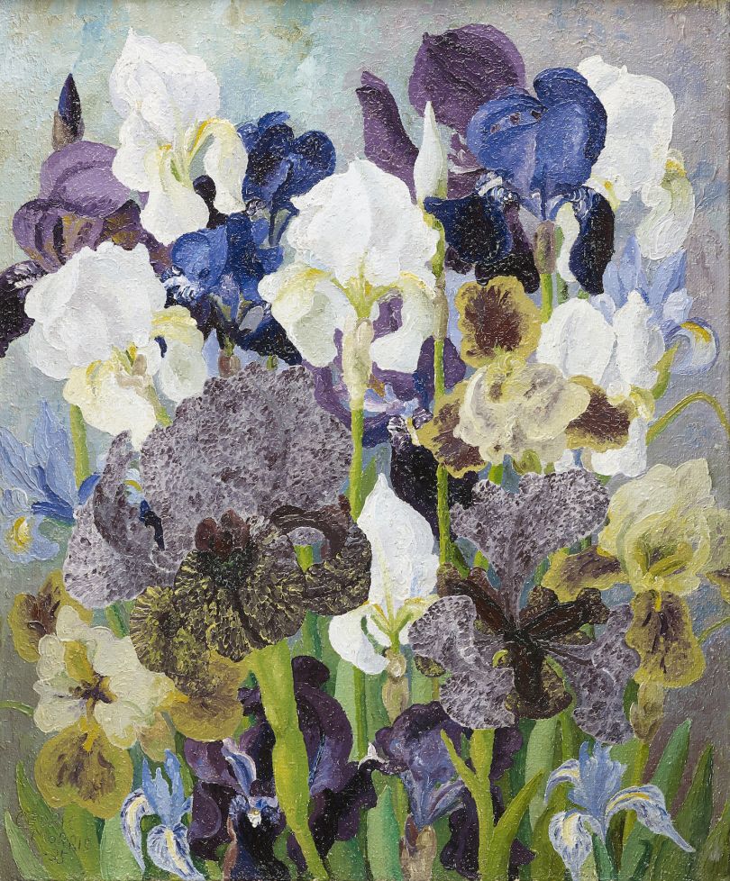 May Flowering Irises No. 2, 1935 Sir Cedric Morris Oil on canvas © Philip Mould & Company Courtesy the Cedric Morris Estate