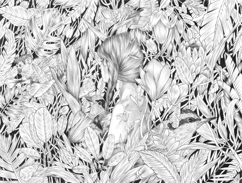Phil Constantinesco's beautiful illustrations are inspired by the poetry that emanates from nature