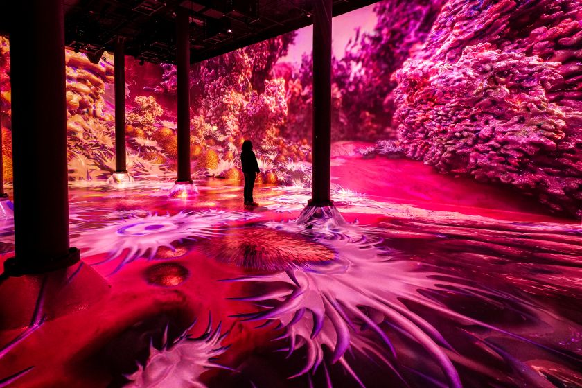 Immersive art experience Magentaverse casts new light on Pantone's Color of the Year