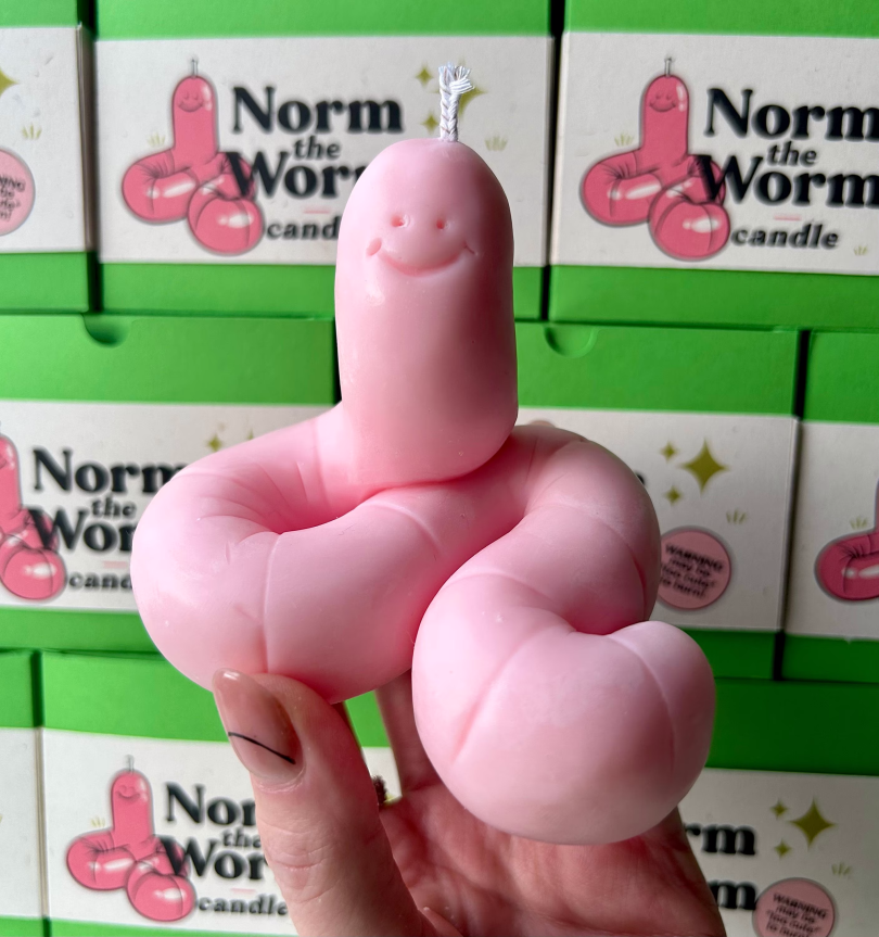Norm The Worm by Bobbi Rae