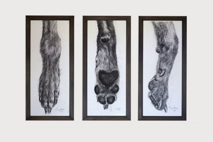 Dog Foot, Front, Back, Side, 161 X 72cm, photo by Tania Dolvers, courtesy of Hignell Gallery
