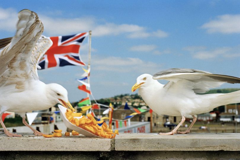 LON5220 GB. England. Dorset. From West Bay. 1996. © Martin Parr - Magnum Photos