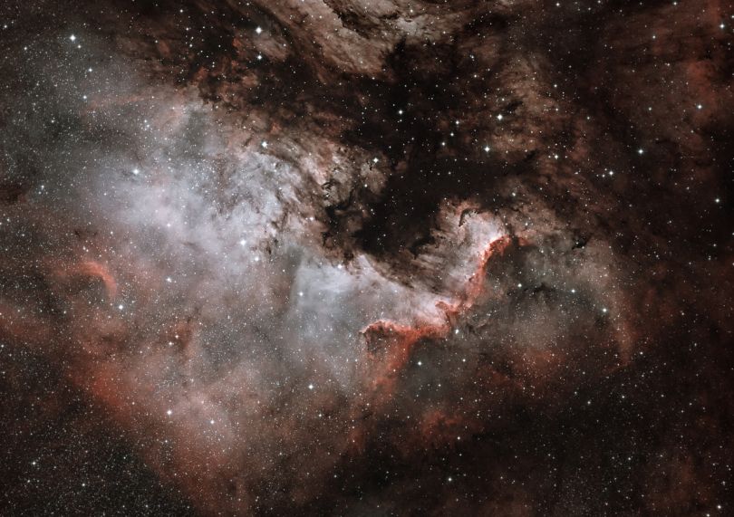 NGC7000 North American Nebula © Dave Watson