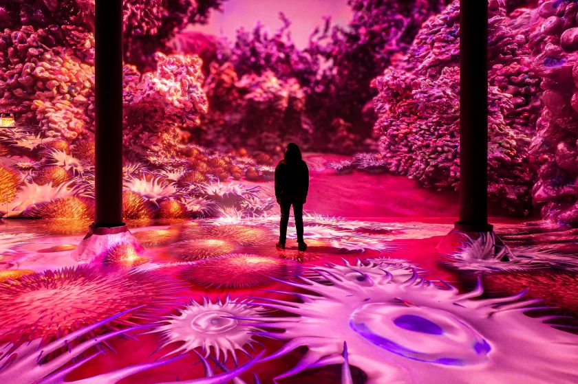 Immersive art experience Magentaverse casts new light on Pantone's Color of the Year