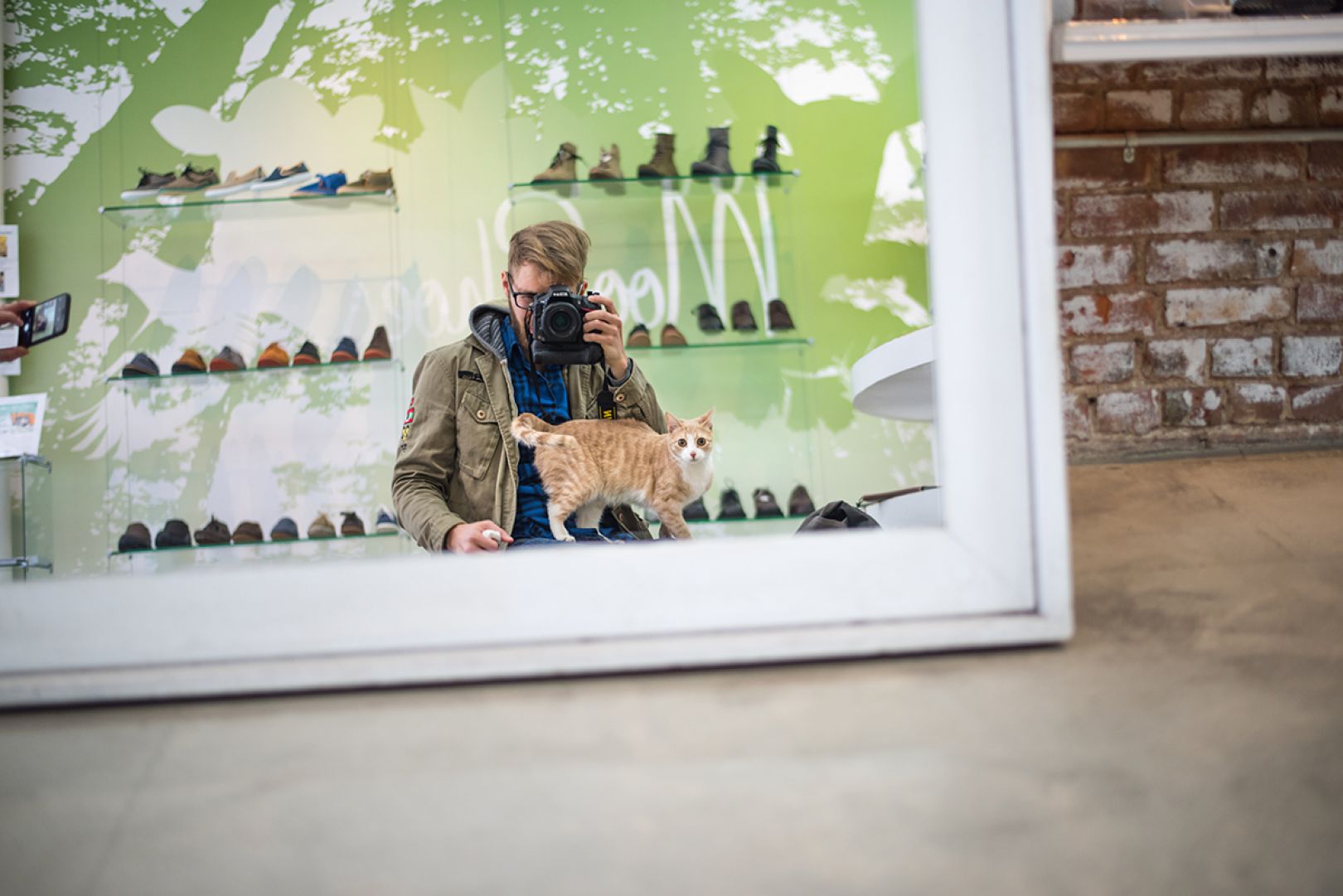 Shop Cats of New York Discover the fascinating stories of cats living
