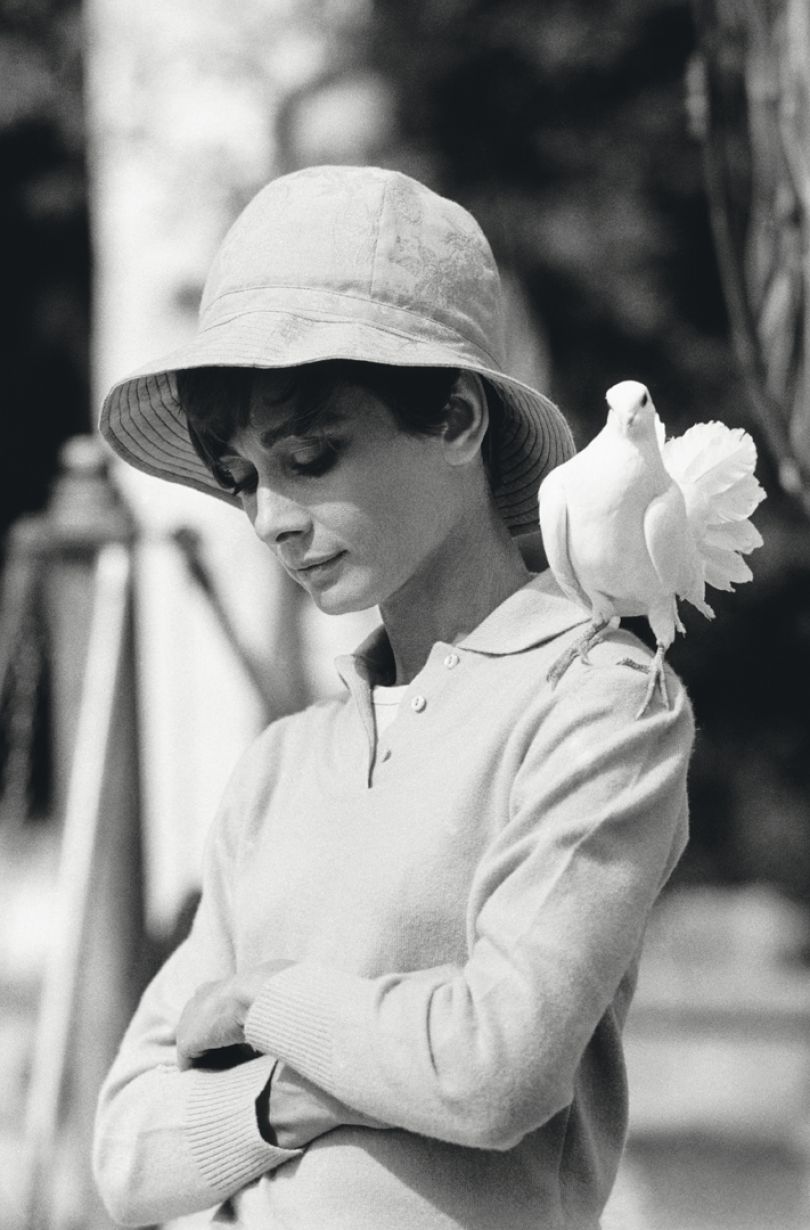 A contemplative Audrey Hepburn with a dove perched on her shoulder. Hepburn With Dove, 1966, Terry O’Neill © Terry O’Neill / Iconic Images