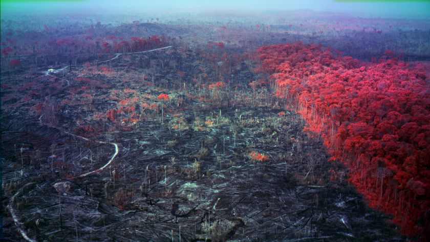 Still from Broken Spectre, 2022, five channel 4K video with 20.4 surround sound. Courtesy of the artist, Jack Shainman Gallery, New York and carlier | gebauer, Berlin/Madrid. © Richard Mosse. Co-commissioned by the National Gallery of Victoria, VIA Art Fund, the Westridge Foundation and Serpentine Galleries