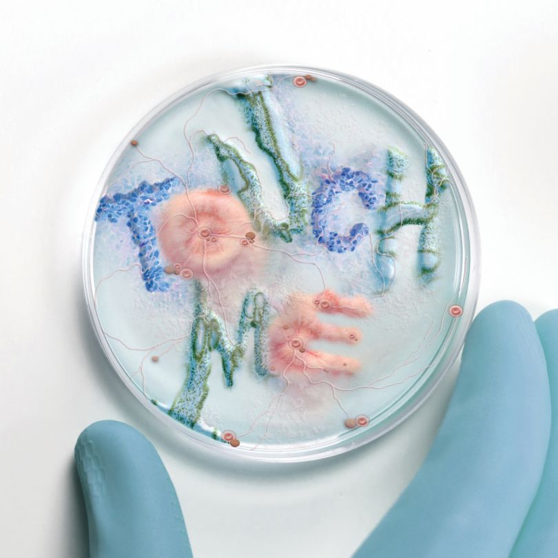Winner of the Innovation Prize: Typographic Bacteria © Xavier Segers