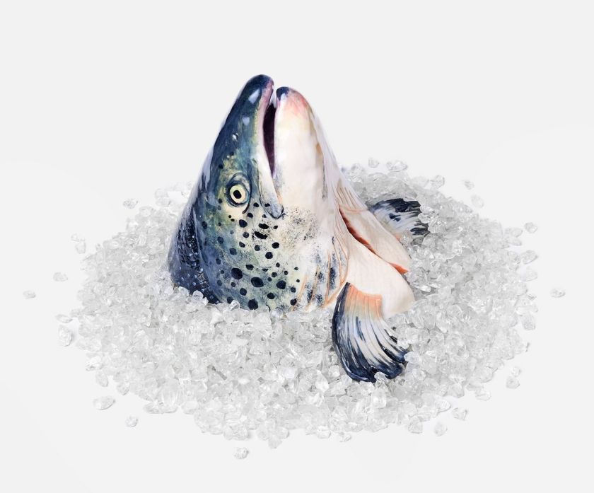 © Stephanie H Shih