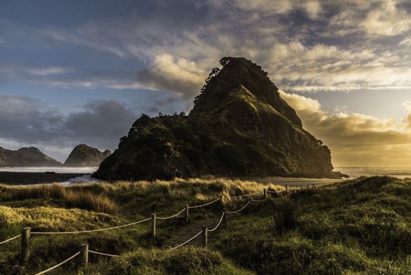 Lion Rock at Piha beach, Auckland, New Zealand.  Image courtesy of [Adobe Stock](https://stock.adobe.com)
