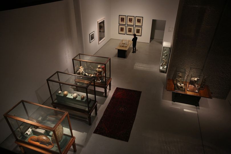 Magnificent Obsessions: The Artist as Collector. Photograph by Peter McDiarmid