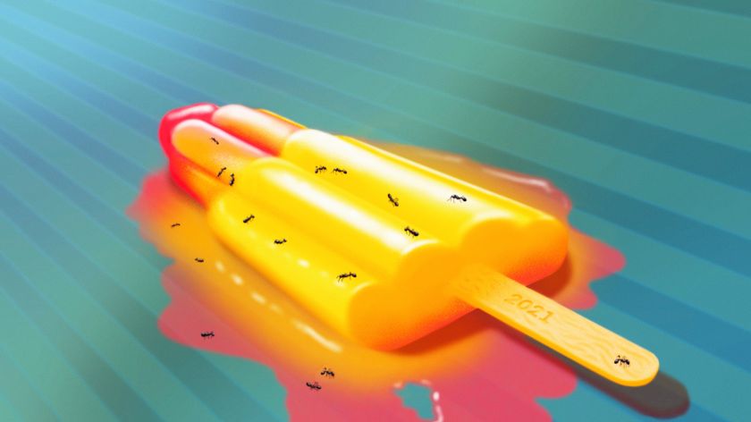 © Lily Lambie-Kiernan