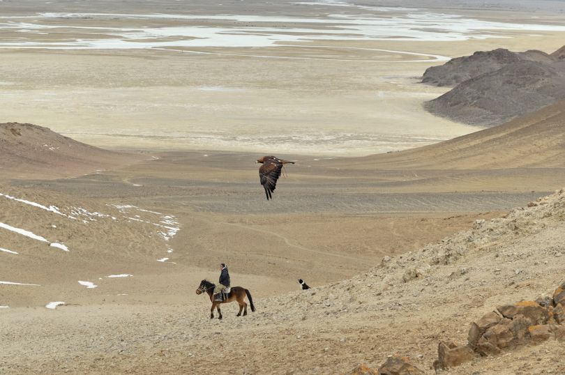 The Golden Eagle, Mongolia, 2011 © Marc Progin. Courtesy of Blue Lotus Gallery