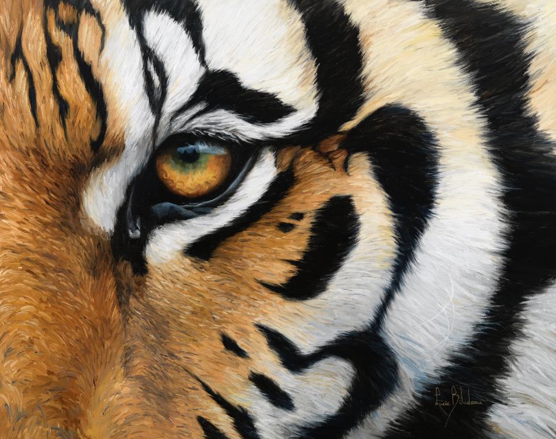 Tiger Eye by [Lucie Bilodeau](https://www.luciebilodeau.com/), past winner