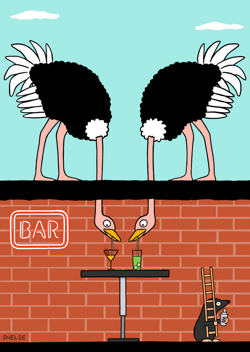 Confused.com cartoonist Steve Nelson on how comedy helped him become an illustrator